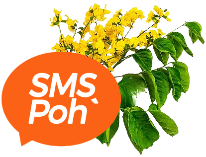 Happy Thingyan Festival 2026, Joy with SMSPoh